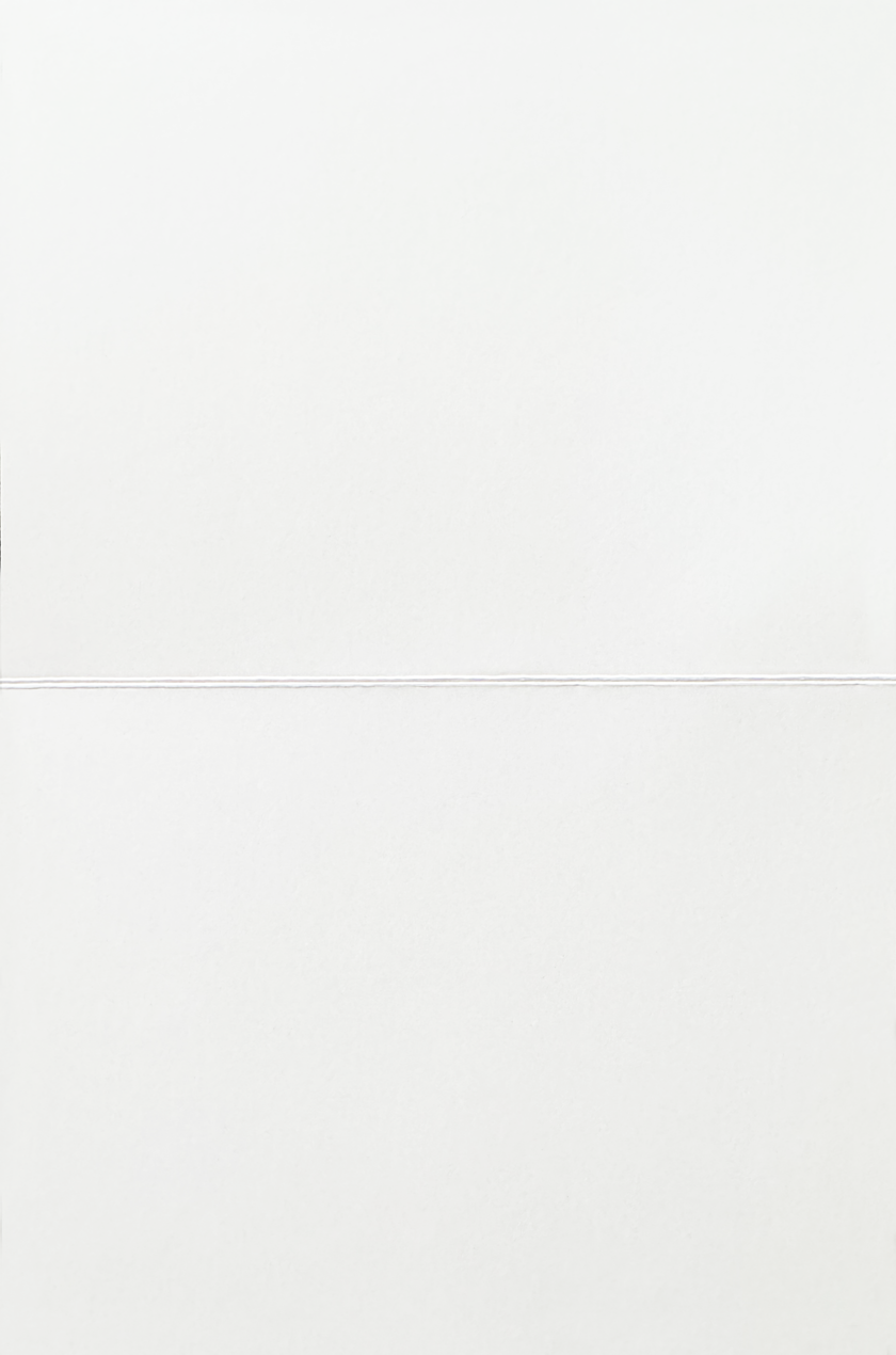 Greeting Card, Funny Birds - (Blank)