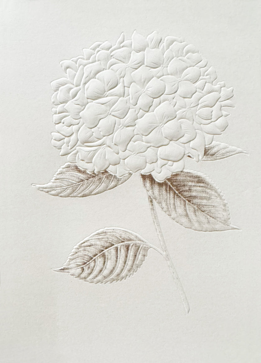 Greeting Card, White Flower Embossed - (Blank)