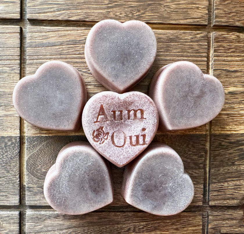 AO - Hibiscus Hair Conditioner Bars, 2 Bars - (Hibiscus Scented) / All Hair Types (Luxury)