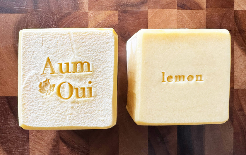 Artisan Dish Soap Bar -  Coconut & Mango Butter - 