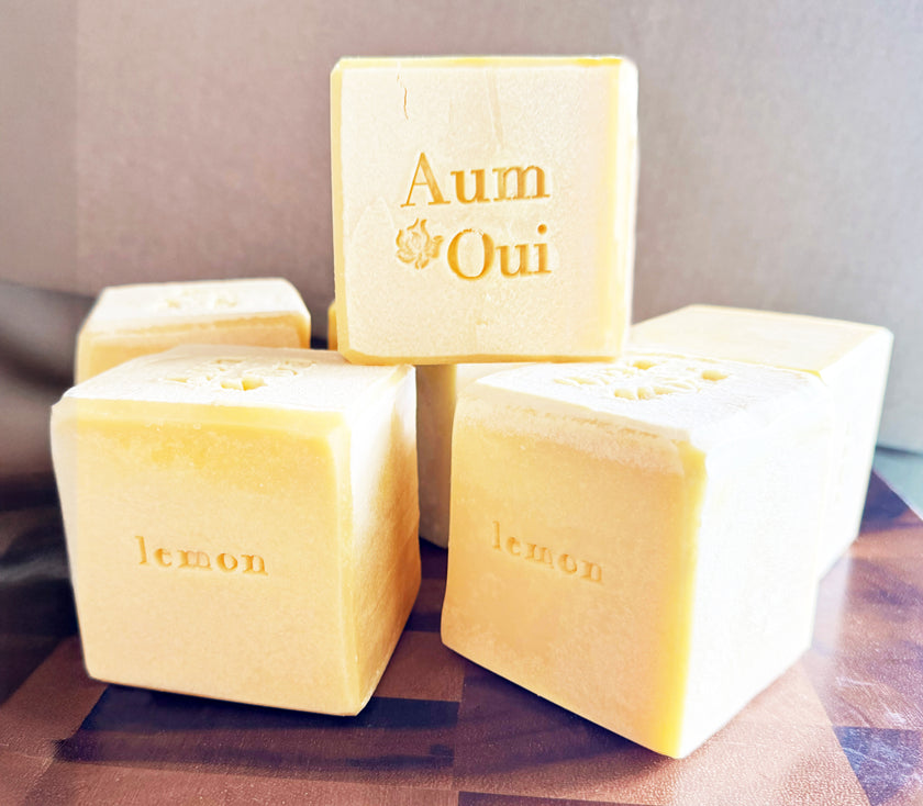 Artisan Dish Soap Bar -  Coconut & Mango Butter - 