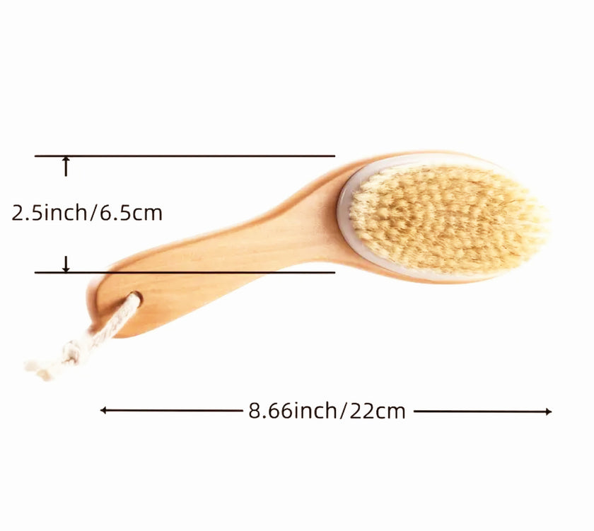 AO Accessory - Dry Skin Brush (Natural Boar Bristle), Ergonomic