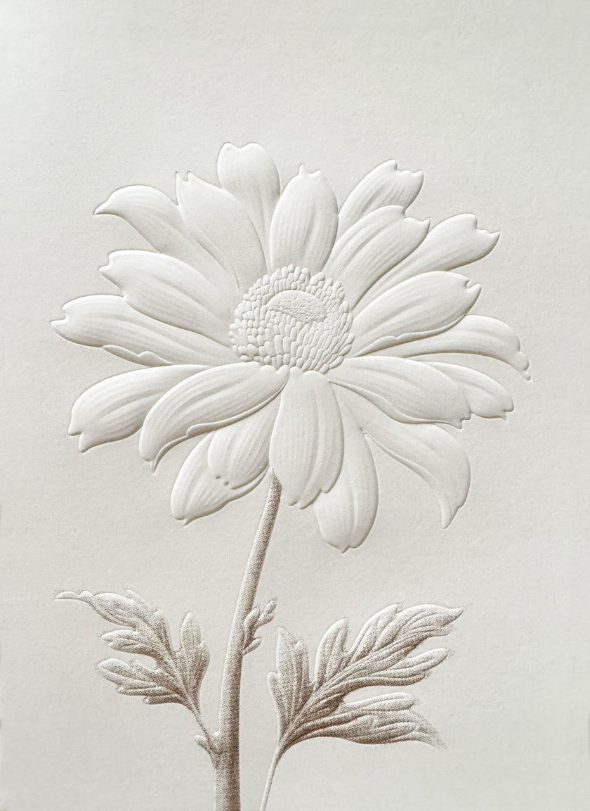Greeting Card, White Flower Embossed - (Blank)