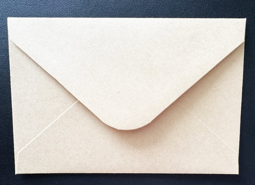 Greeting Card, Funny Birds - (Blank)