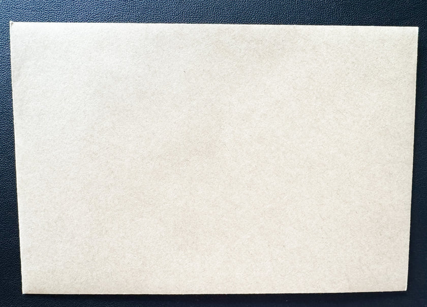 Greeting Card, Funny Birds - (Blank)