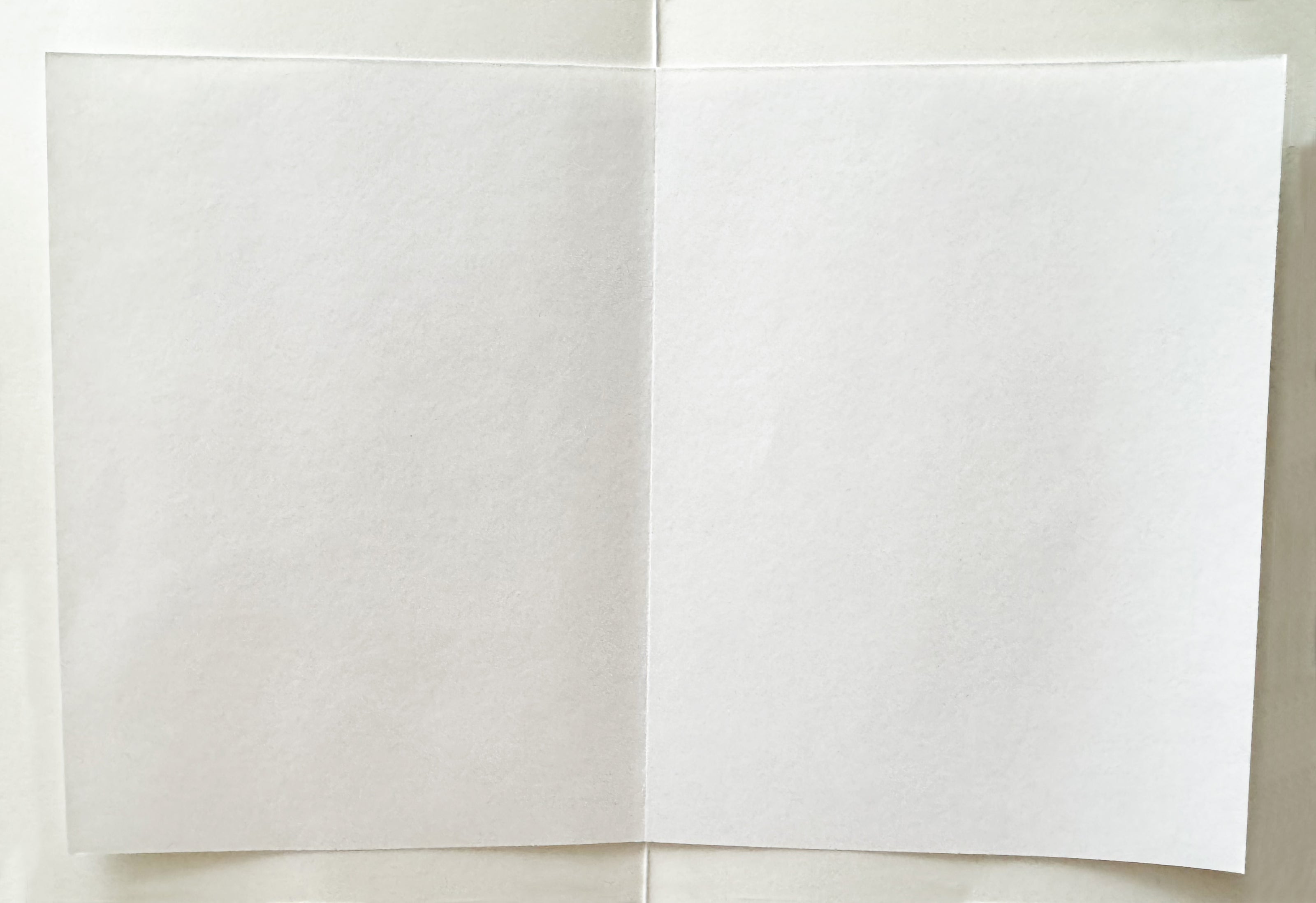 Greeting Card, White Flower Embossed - (Blank)
