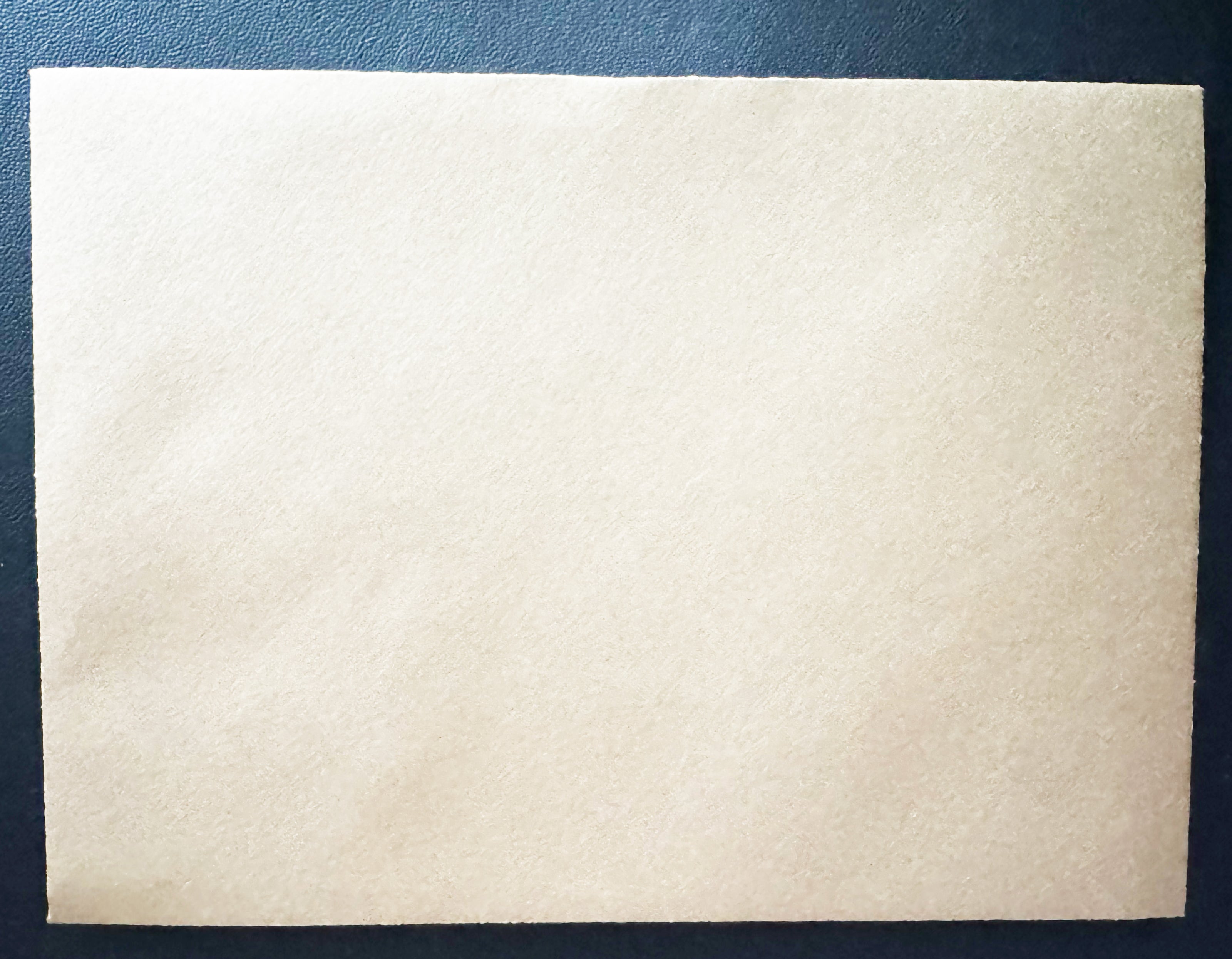 Greeting Card, White Flower Embossed - (Blank)