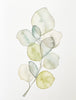 Greeting Card, Foliage - (Blank)