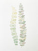 Greeting Card, Foliage - (Blank)