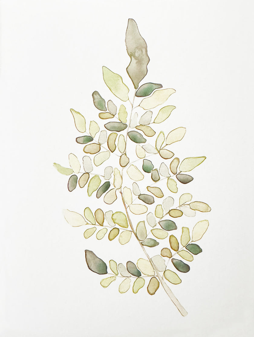 Greeting Card, Foliage - (Blank)