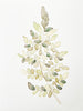Greeting Card, Foliage - (Blank)