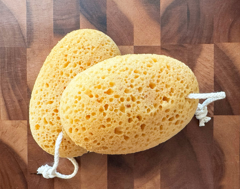 AO Accessory - Konjac Bath Sponge, Honeycomb