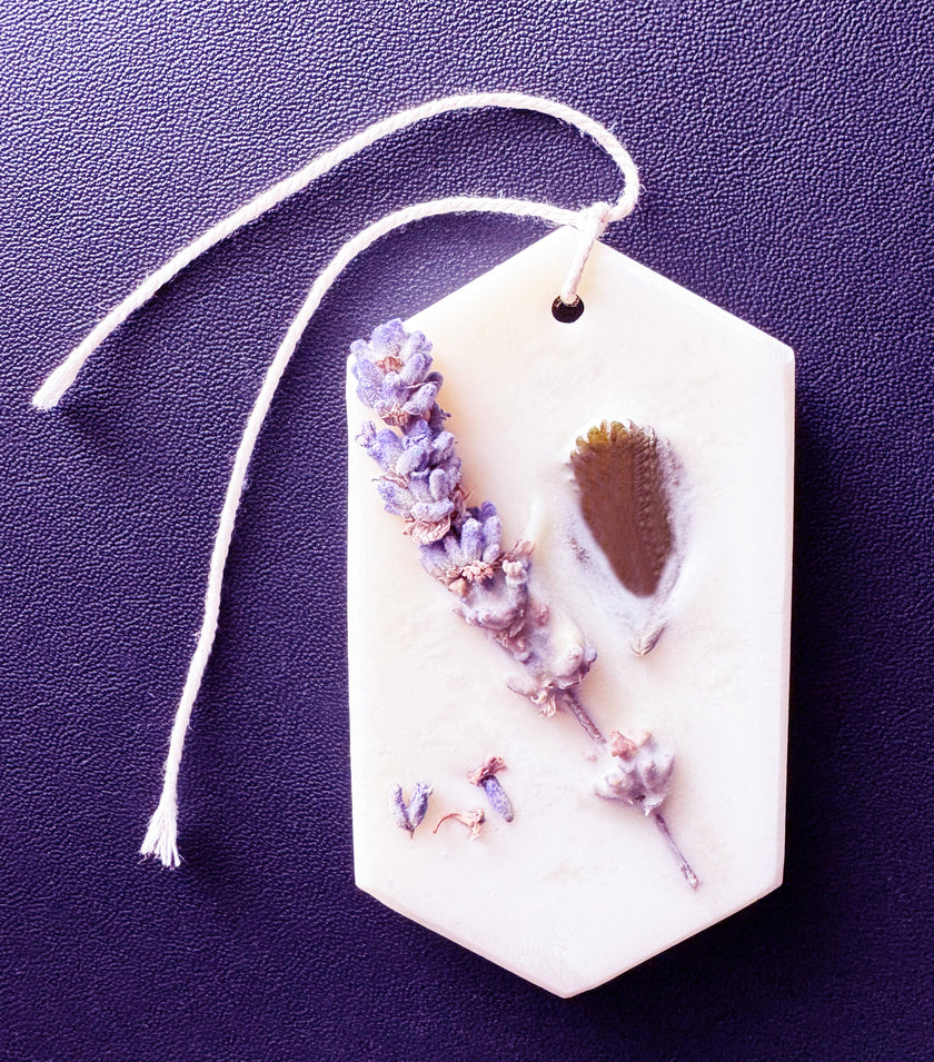 AO-AO - Hanging Wax Botanical Palette Freshener - Lavender, Lemon & Nutmeg (Scent) / Natural Colour / Long Oval